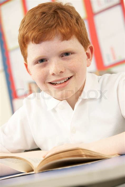 Schoolboy Studying In Classroom Stock Image Colourbox