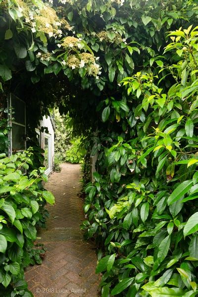 Roseland House Chacewater Ngs Gardens