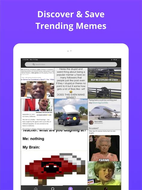 Gif Meme Maker App - What is the meme generator?