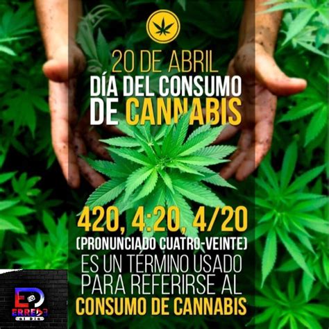 D A Mundial De La Marihuana Por Qu Se Celebra El De Abril Y Cu L