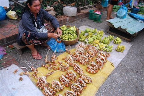 Morning Market In Luang Prabang Laos Editorial Image Image Of People