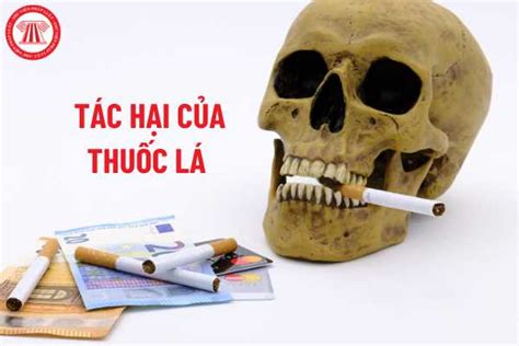 Chính sách của Nhà nước về phòng chống tác hại của thuốc lá được quy