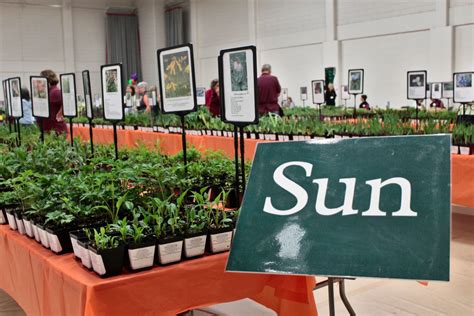 Annual Plant Sale 2023 Hennepin County Master Gardeners