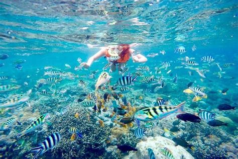 11 Best Beaches In Nusa Lembongan - Updated 2024 | Trip101