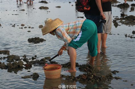 潭门：每个赶海人都是孩子凤凰海南