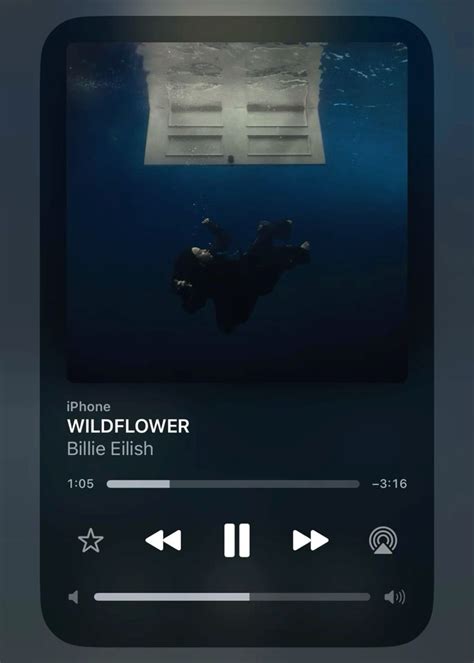 Wildflower Billie Eilish Wildflower Song Wildflower Lyrics Songs