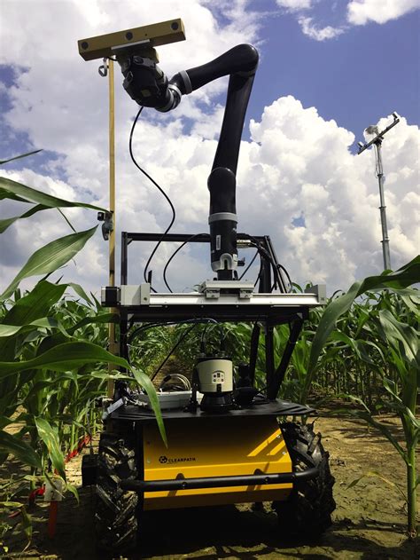 Robotic Device Measures Drought Stress Of Corn In The Field