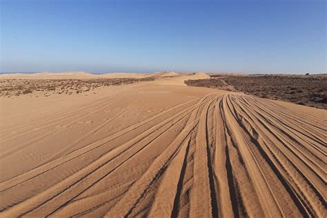 Jeep Desert Safari Tour With Lunch And Camel Ride