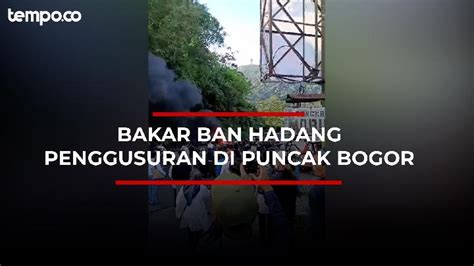 Pkl Di Kawasan Puncak Bogor Digusur Warga Berikan Perlawanan Tempo Co