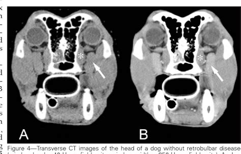 Figure 4 From Clinical And Diagnostic Imaging Findings In Dogs With