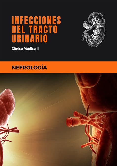 Solution Infecciones Del Tracto Urinario Studypool