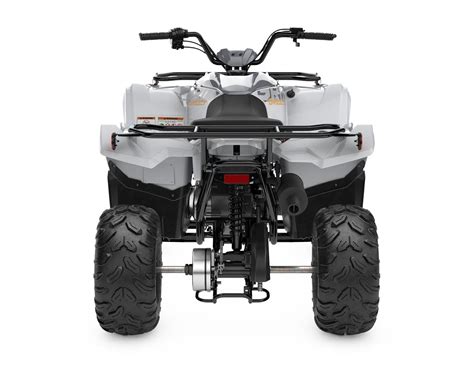 Yamaha Grizzly Blanc Gris Armure En Vente Vall E Jonction