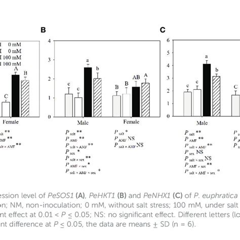 Pdf Sex Specific Photosynthetic Capacity And Na Homeostasis In