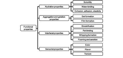 Classification Of Functional Properties Of Wphs In Food Applications Download Scientific Diagram