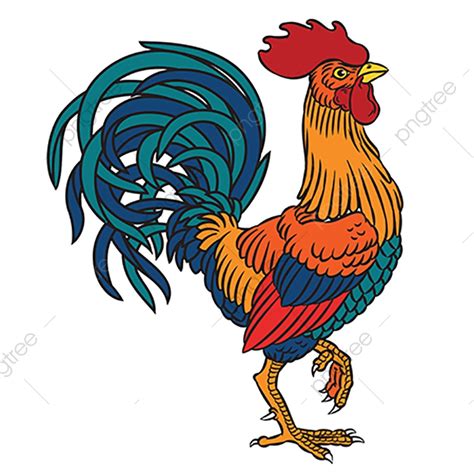 Ilustraci N Vectorial De Un Gallo Gallo Vector Aislado Png Y Vector