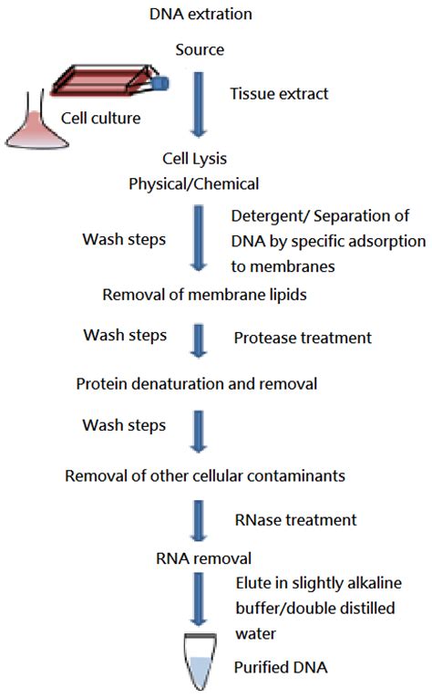 Medicina Free Full Text Increased Diagnostic Yield Of Array