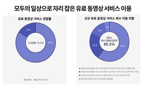 나스미디어 ‘2022 인터넷 이용자 조사 발표ott 이용 지속 전망