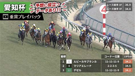 【愛知杯 2023】過去5年のレース映像・傾向 競馬予想動画