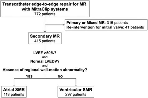 Transcatheter Edge To Edge Repair For Atrial Secondary Mitral