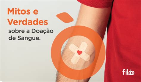 Mitos e verdades sobre a doação de sangue Filóo