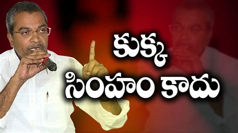 Mylavaram Ysrcp Mla Vasantha Krishna Prasad Fires On Devineni Uma కుక్క సింహం కాదు Youtube