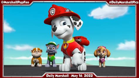 Marshall Pup Fanatic Daily Marshall May 16 2022