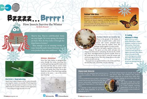 Biology Bzzzz Brrr How Insects Survive The Winter Brainspace