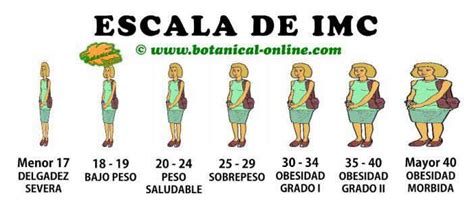 Calcula Tu Imc Y Peso Ideal Printable Templates Free