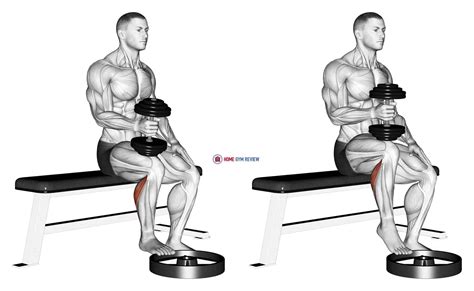 Dumbbell Seated One Leg Calf Raise Hammer Grip Home Gym Review