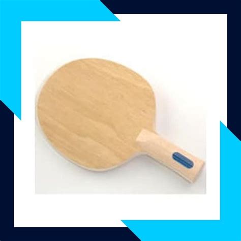 Jual Bat Tenis Meja Bet Pingpong Kayu Dr Neubauer High Tech Plus Di