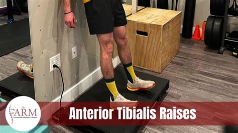 Anterior Tibialis Raises Youtube