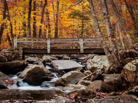 Find the Top National & State Parks Near You in New Jersey | OnlyinYourState.com