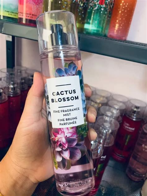 Cactus Blossom Bbw Body Mist Lazada