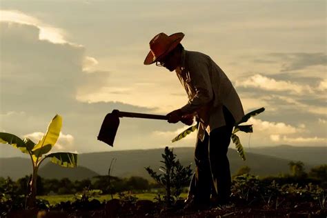 Reforma Na Aposentadoria Rural Pode Gerar Economia De R Bilh Es Em