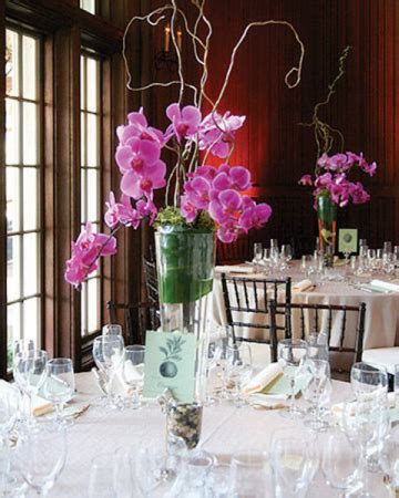 Orchid Plant Centerpiece Wedding Flowers in Croton On Hudson, NY - Cooke's Little Shoppe Of Flowers