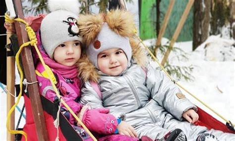Северный — Питомник для собак