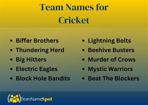 155 Best Cricket Team Names For Your Winning Squad 2025