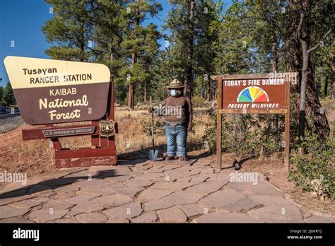 The Kaibab National Forest Fotografías E Imágenes De Alta Resolución