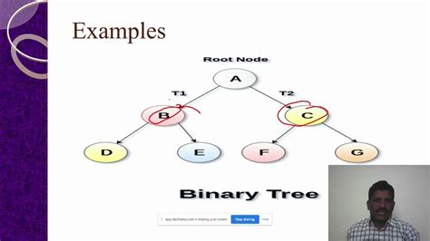 Binary Tree Types Of Binary Trees Full Binary Tree Vs Complete