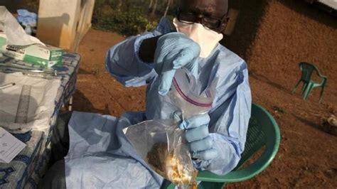 Lassa Fever Death Toll In 2018 Reaches 72 In Nigeria