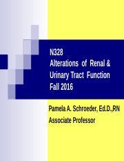 Alterations In Renal And Urinary Tract Function N328 Alterations Of