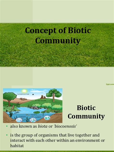 Concept Of Biotic Community Pdf Ecology Reproduction