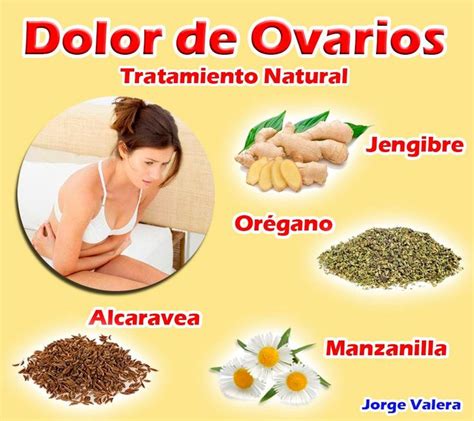 Ovarios Dolor Dolor De Ovarios Dolor De Ovarios Remedios Dolor De