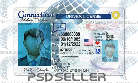 Fully Editable Connecticut Driver License Template Psd Seller