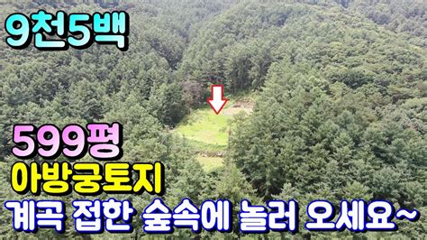 양평토지매매 913번 농막신고된 계곡 접한 숲세권의 누구의 방해 없는 아늑한 아방궁 토지 9천5백 Youtube