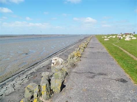 Husum 2019: Best of Husum, Germany Tourism - TripAdvisor