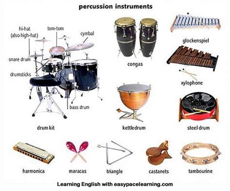 Learning English With Pictures English Basics Percussion Instruments Percussion Drums