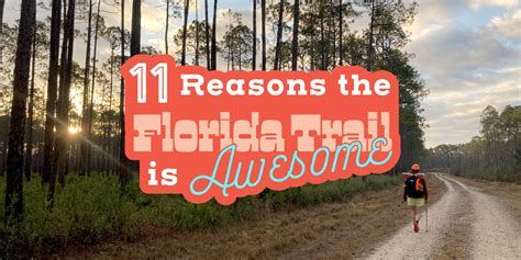 11 Reasons The Florida Trail Is Awesome - The Trek