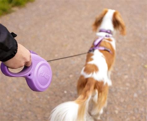 Halti Retractable Dog Lead Company Of Animals Us