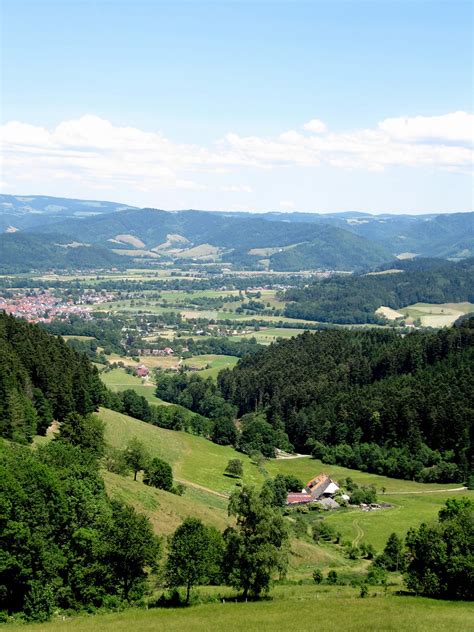 Bosque Negro Panorama Paisaje Foto Gratis En Pixabay Pixabay